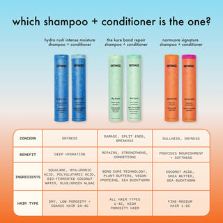 Amika hydro rush intense moisture conditioner